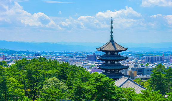 お別れは予想できないから迅速に対応します
